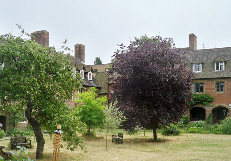 A Day in Cambridge Celebrating the Life and Work of John Zizioulas